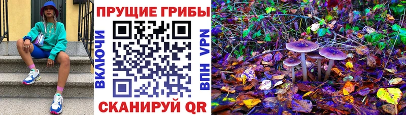 Галлюциногенные грибы мухоморы  Карабаново 